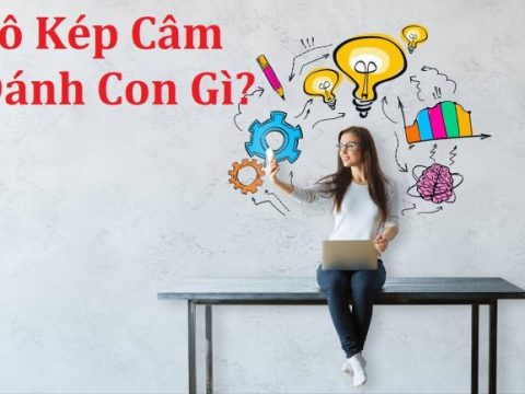 lo kep cam danh con gi