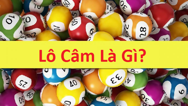 lo-cam-la-gi-lo-cam-danh-con-gi